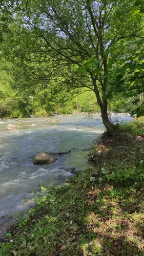 تصویر 3 - ویلا کلبه چوبی جنگلی در شیرگاه