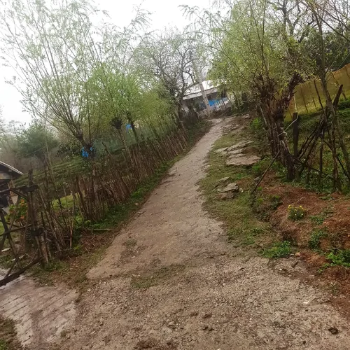 تصویر 17 - خانه مسافر گل در  رستم آباد