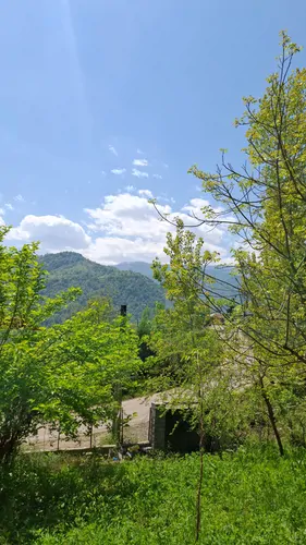 تصویر 2 - کلبه کلبه دوبلکس با ویو ابدی لفور در شیرگاه