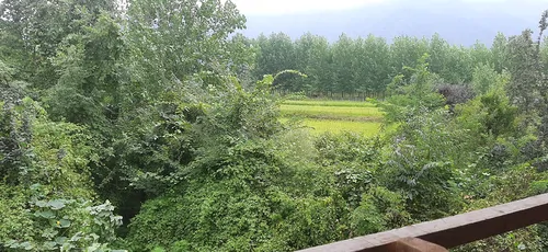 تصویر 15 - کلبه جنگلی پارسا (4) در  ماسال
