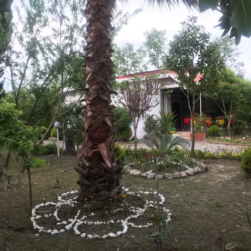 تصویر 16 - ویلا استخردار با ویو باغ  در  محمودآباد