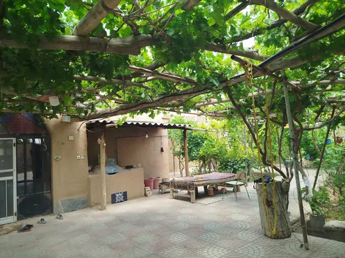 تصویر 12 - روستایی و عشایری هخامنش در  شاهرود