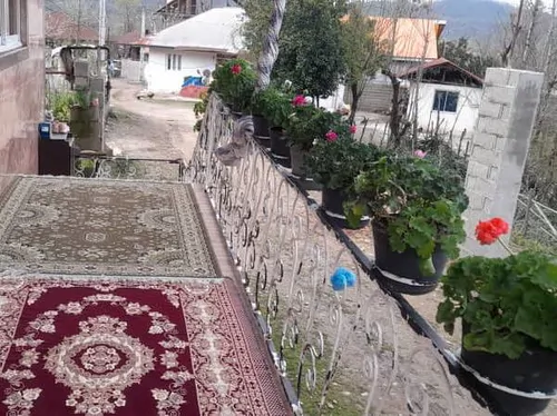 تصویر 5 - ویلا جنگلی سید سرا در  فومن
