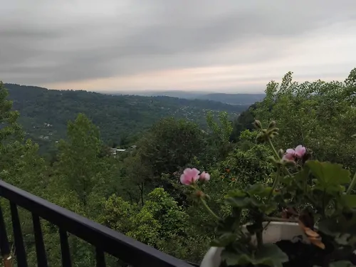 تصویر 11 - خانه عمو رشید (واحد 1) در  بابل