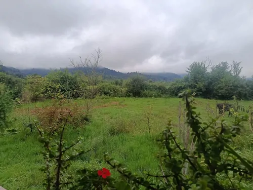تصویر 29 - ویلا جنگلی زارع  در  فومن