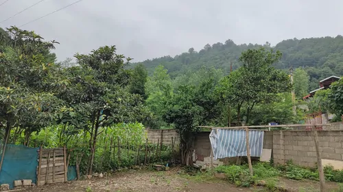 تصویر 14 - ویلا جنگلی جلیلی در  ماسال