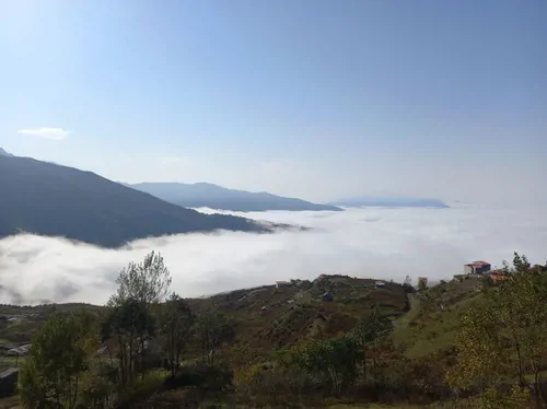 تصویر 8 - ویلا باغ قلهک در  فیلبند