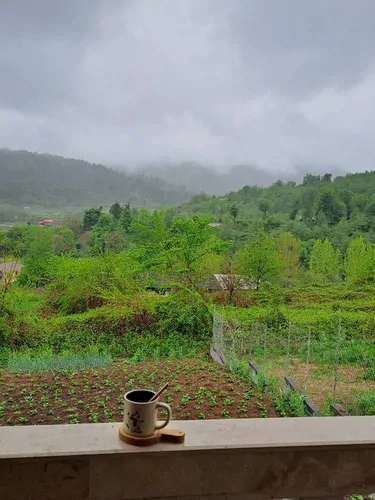 تصویر 20 - ویلا رسپینا با جکوزی در  شیرگاه