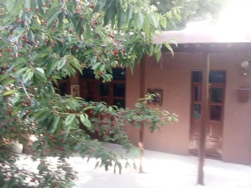 تصویر 3 - اقامتگاه بوم‌گردی شکوفه های گیلاس(اتاق1) در  الموت