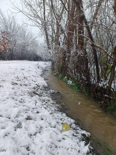 تصویر 19 - ویلا ماه سو در  سوادکوه