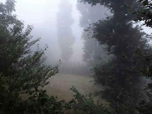 تصویر 8 - ویلا جنگلی در  رستم آباد
