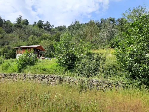 تصویر 18 - کلبه چوبی جنگلی آریالفور  در  شیرگاه