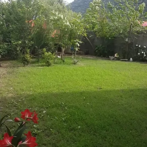 تصویر 2 - سوییت سوییت در ماسال