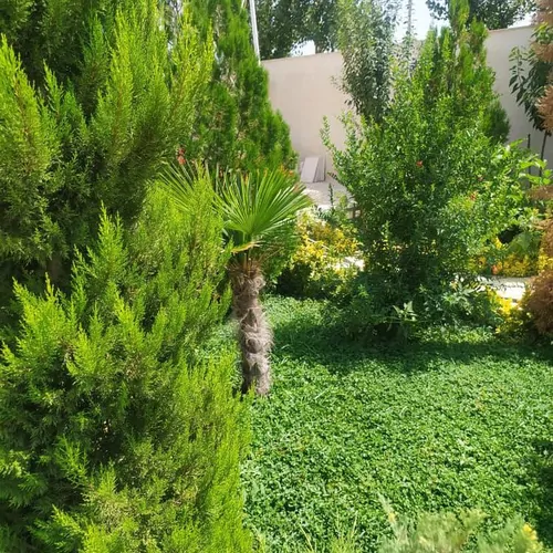 تصویر 5 - کلبه باغ ویلا لاکچری در  سهیلیه