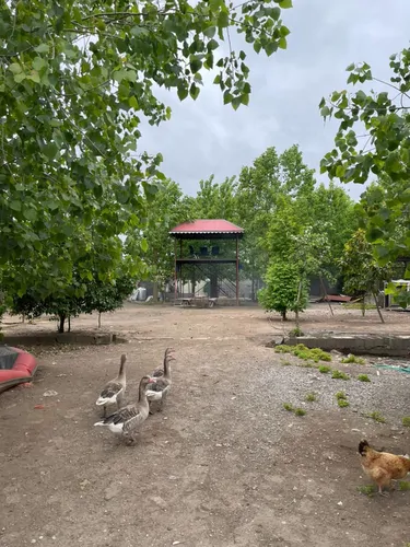 تصویر 2 - ویلا ویلای اجاره ای در لشت نشاء