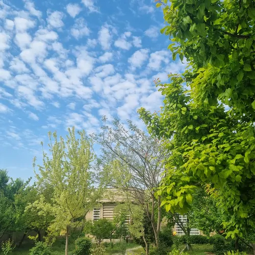 تصویر 18 - سوییت ویلایی شعله در  شهریار