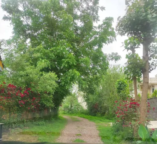 تصویر 12 - ویلا ساحل در  انزلی