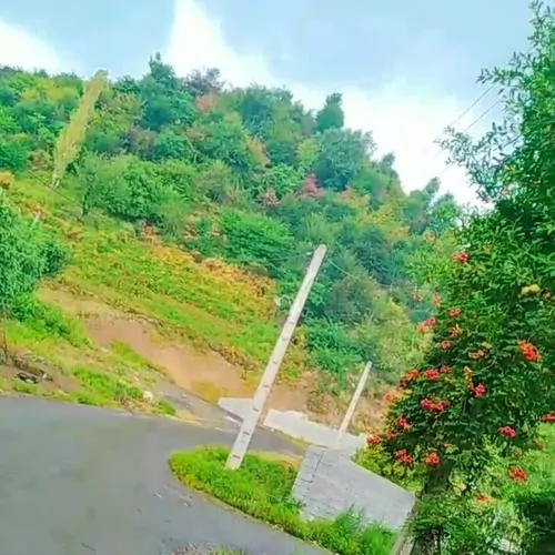 تصویر 10 - ویلا خونه صورتی در  لیسار