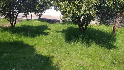تصویر 19 - کلبه  سوئیسی کیاراد در  پره‌سر