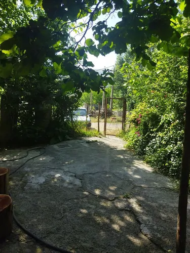 تصویر 2 - ویلا دلباز سکوت دارای باغ بزرگ در دیلمان