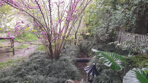 تصویر 5 - ویلا باغ ویلا در  سرخ رود