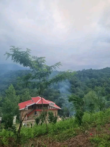 تصویر 2 - کلبه چوبی مهرداد (2) در شفت