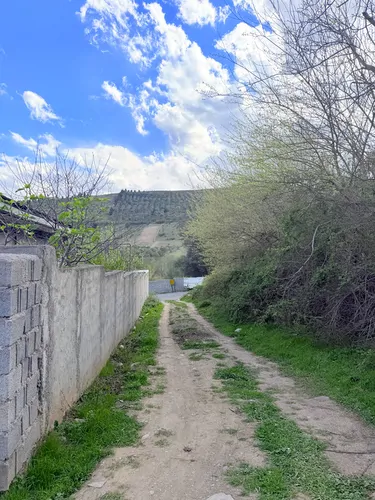 تصویر 16 - کلبه زیتون در رستم آباد