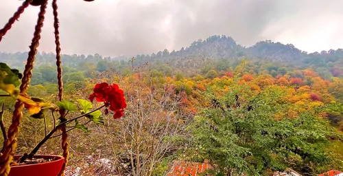 تصویر 17 - ویلا جنگلی در ماسال