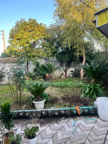 تصویر 11 - خانه گل سرخی  در  چالوس