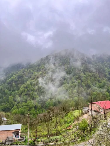 تصویر 10 - سوییت چوبی جنگلی آشیانه با جکوزی  در  بابل