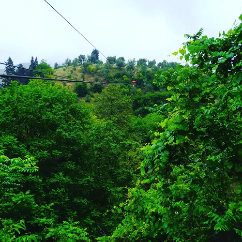 تصویر 4 - مهمانسرا رودخانه کوهستان  در رستم آباد
