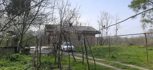 تصویر 30 - ویلا جنگلی گلبن در ماسال