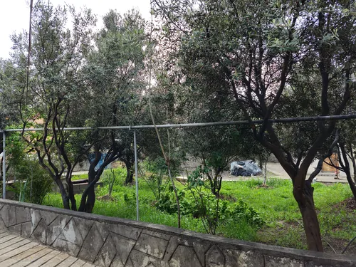 تصویر 2 - سوییت اتاق اقتصادی ۱۲ متری عمو ایرج  در رودبار