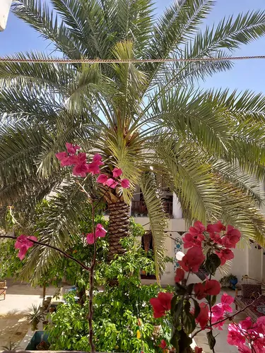 تصویر 5 - اقامتگاه بومگردی نریمان (اتاق بهار) در اوز
