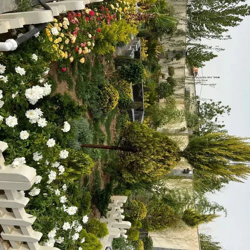 تصویر 2 - ویلا شیک و مدرن در سهیلیه