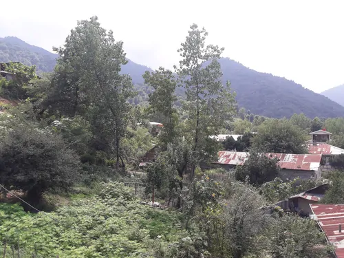 تصویر 20 - کلبه چوبی سعدی در  ماسال