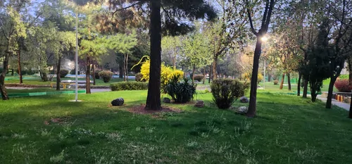 تصویر 21 - خانه مبله پیمان   در  بروجرد