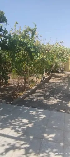 تصویر 4 - خانه تم روستایی وخوش اب هوا در سیرجان