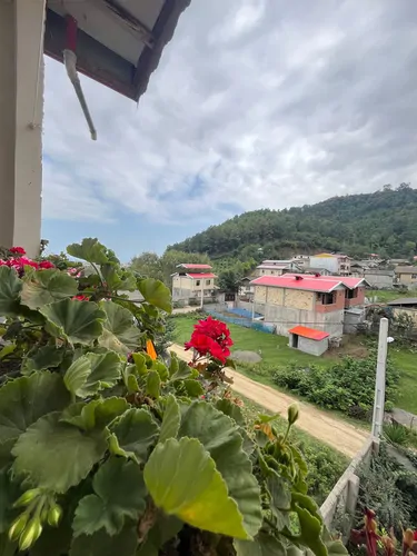 تصویر 2 - سوییت ویلای جنگلی یا ویوی جنگلی زیبا و حیاطی آرام  در تالش