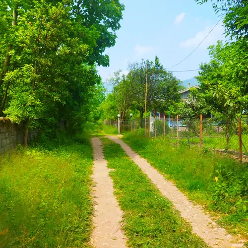 تصویر 21 - ویلا جنگلی آواز پرنده در  ماسال