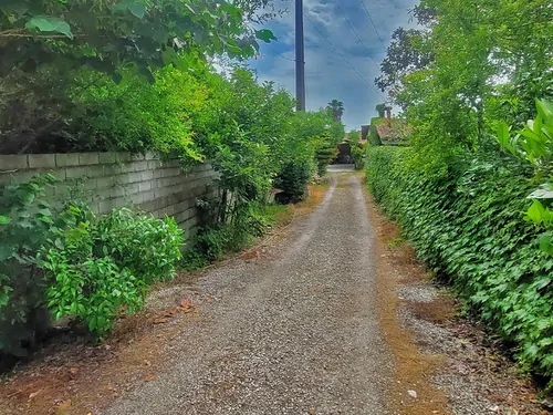 تصویر 18 - ویلا کاکتوس در  متل قو