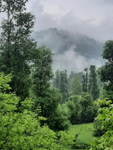 تصویر 14 - ویلا جنگلی آپادانا روستای استخرگاه در  رستم آباد