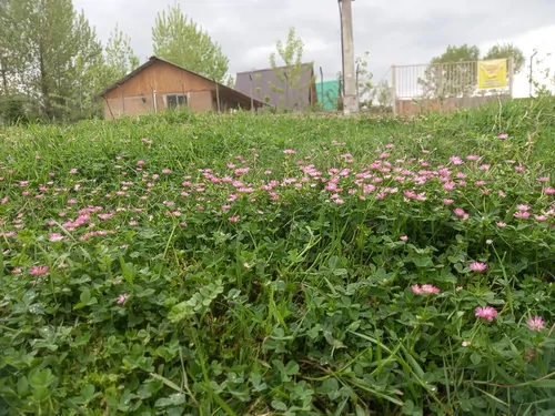 تصویر 20 - خانه روستایی طبیعت در  سوادکوه