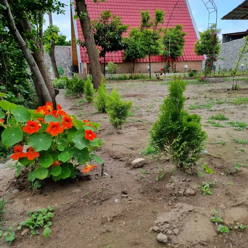 تصویر 23 - کلبه کنار تالاب در  انزلی
