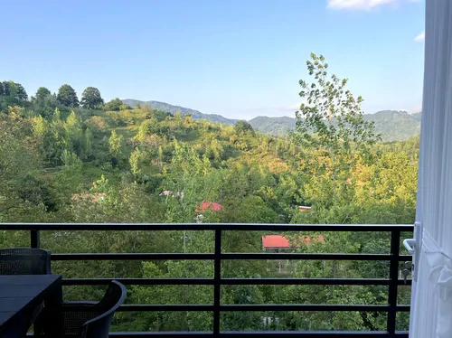 تصویر 22 - ویلا سوییسی چای در لاهیجان