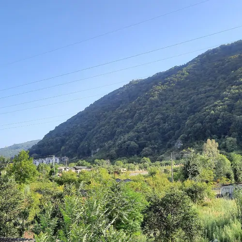 تصویر 2 - ویلا جواهرده زیبا در رامسر