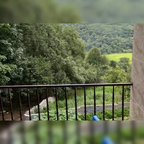 تصویر 4 - ویلا ویلا جنگلی دو خوابه عرفان در زیراب