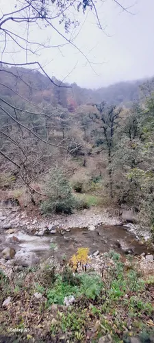 تصویر 2 - کلبه کلبه سوییسی درداخل طبیعت وزندگی روستایی در ماسوله 