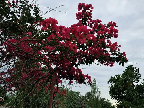 تصویر 5 - ویلا لاکچری با نورپردازی عالی ویو ابدی در  سیاهکل