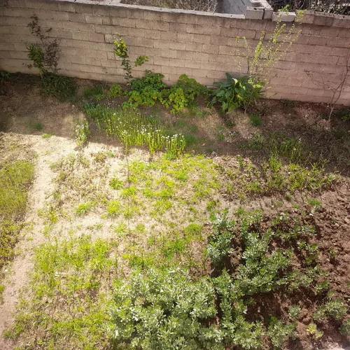 تصویر 16 - خانه مبله باران در  آستانه اشرفیه